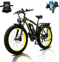 Vélo électrique pour adulte – 250 W, 20 Ah, noir/gris